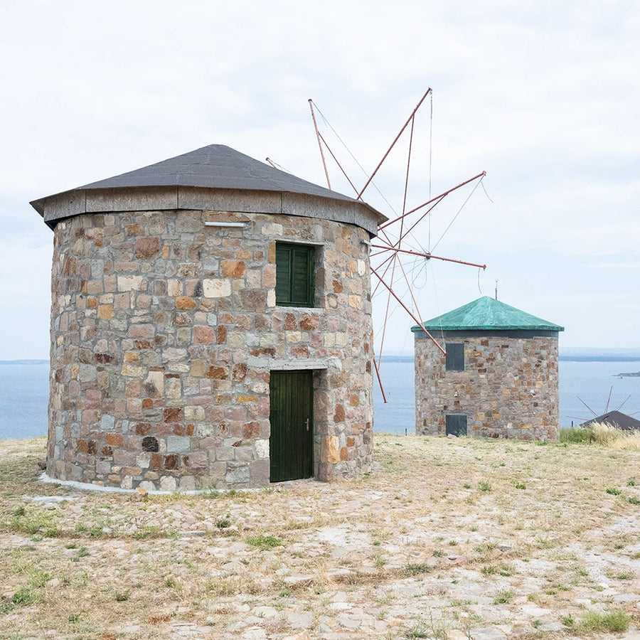 Adanın <em>Rüzgarları</em>